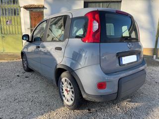 FIAT Panda usata, con Antifurto