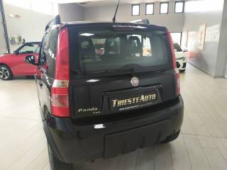 FIAT Panda usata, con Alzacristalli elettrici