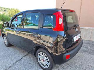 FIAT Panda usata, con Autoradio