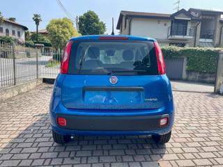 FIAT Panda usata, con Antifurto
