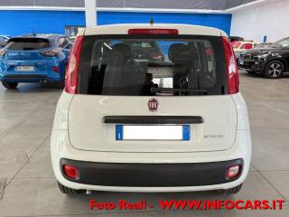 FIAT Panda usata, con Marmitta catalitica