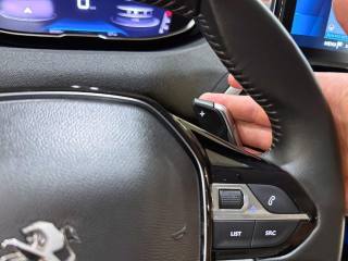 PEUGEOT 3008 usata, con Volante in pelle