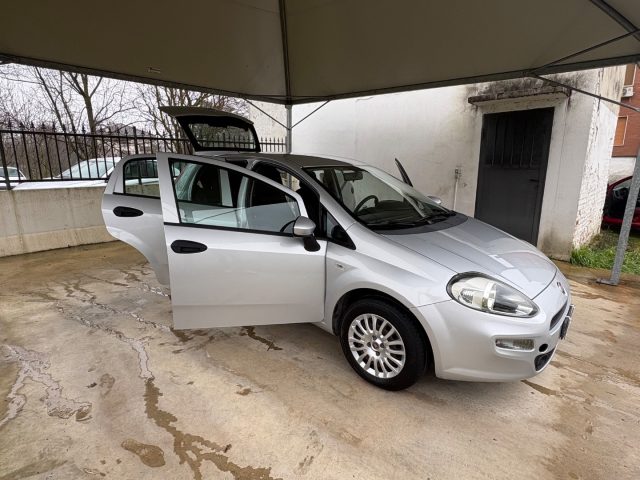 FIAT Punto usata 41