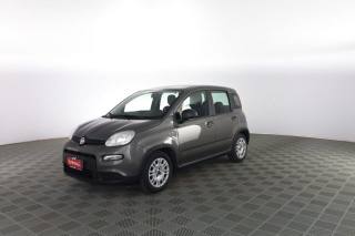 FIAT Panda usata 6