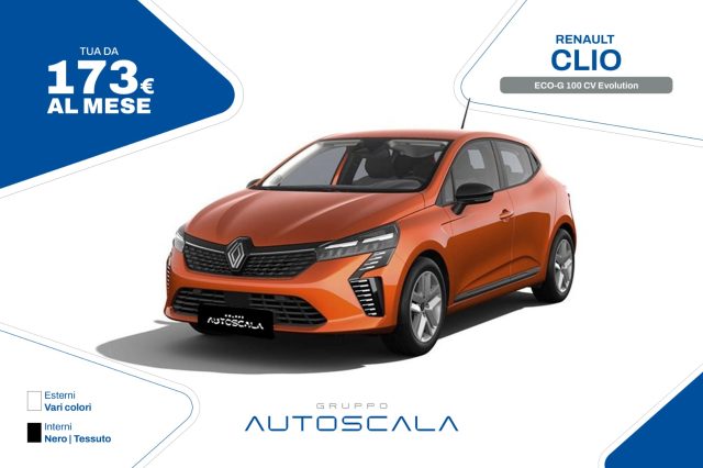 RENAULT Clio usata, con ABS