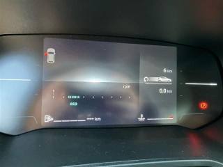 RENAULT Clio usata, con Hill holder