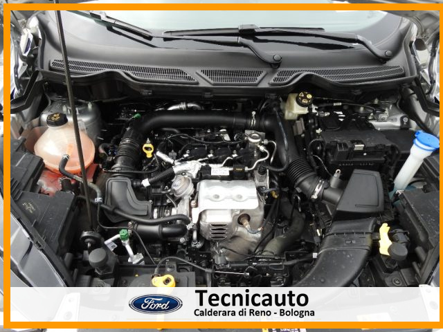 FORD EcoSport usata 28