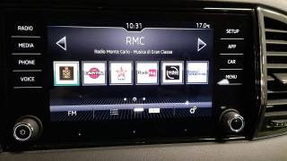 SKODA Karoq usata, con Autoradio digitale