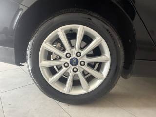 FORD Focus usata 6