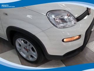 FIAT Panda usata, con Immobilizzatore elettronico