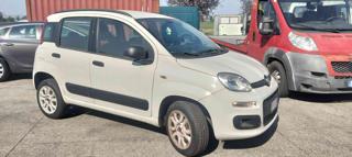 FIAT Panda usata, con Airbag