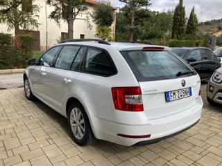 SKODA Octavia usata, con Cerchi in lega