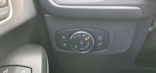 FORD Focus usata, con Fendinebbia