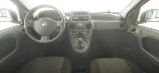 FIAT Panda usata, con Servosterzo