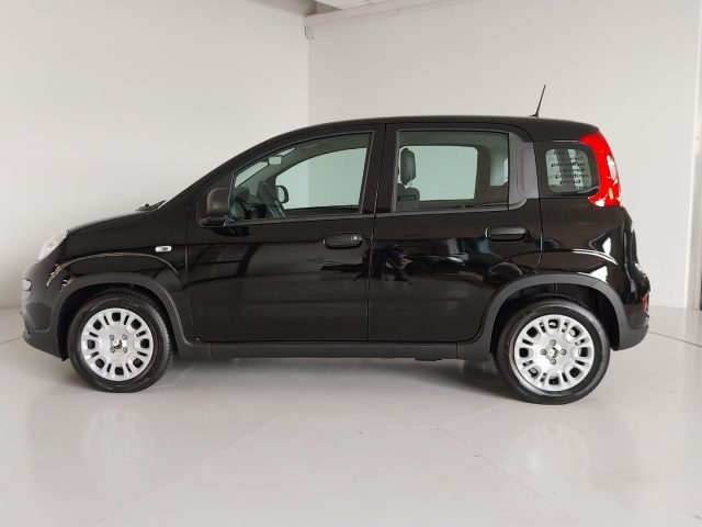 FIAT Panda usata, con Alzacristalli elettrici