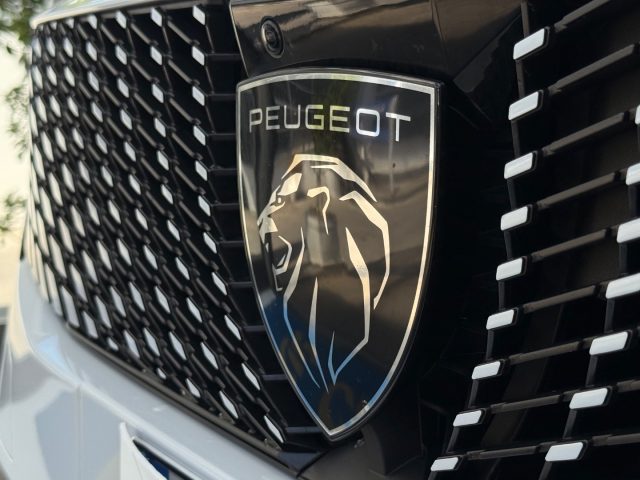 PEUGEOT 3008 usata, con Autoradio