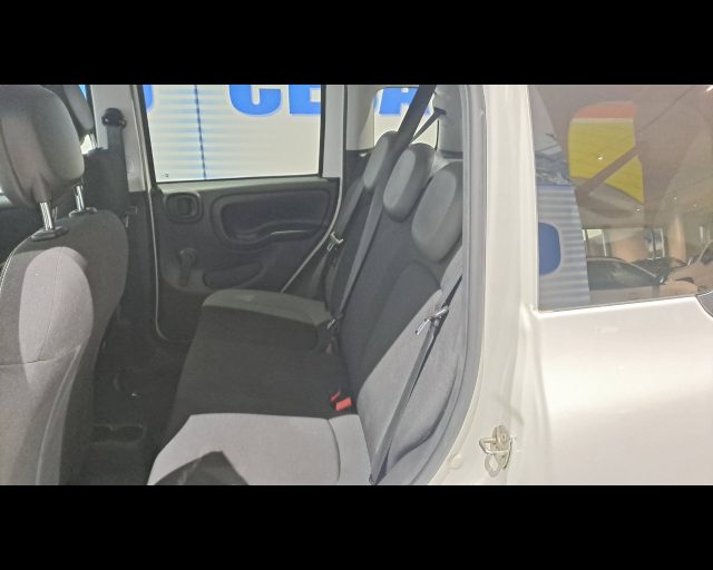 FIAT New Panda usata 24