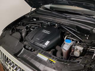 AUDI Q5 usata, con Airbag testa