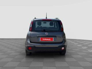 FIAT Panda Cross usata 3