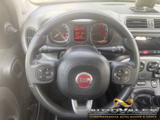 FIAT Panda usata, con Cronologia tagliandi