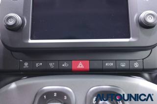 FIAT Panda Cross usata, con Volante multifunzione