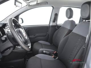 FIAT Panda usata 8