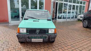 FIAT Panda usata 1