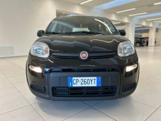 FIAT Panda usata, con Bluetooth