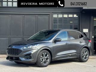 FORD Kuga 2.0 EcoBlue 120 CV aut. AWD ST-Line