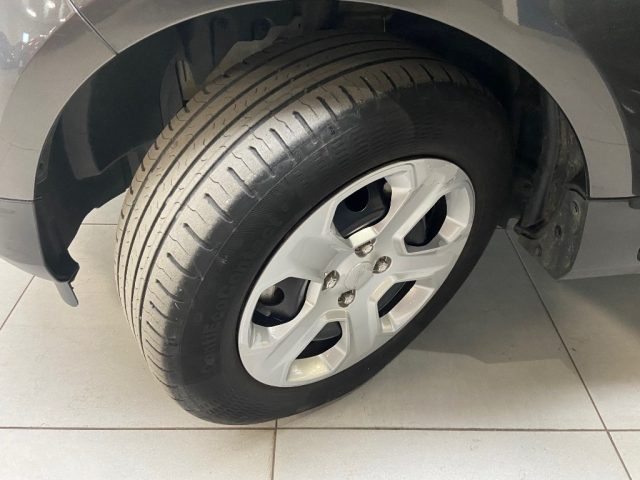 FORD EcoSport usata, con Controllo vocale