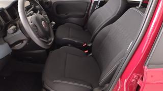 FIAT Panda Cross usata, con Controllo trazione