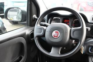 FIAT Panda usata 18