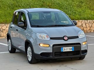 FIAT Panda usata, con Airbag Passeggero