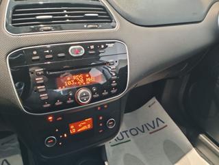 FIAT Punto usata 12