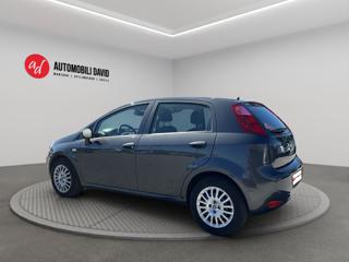 FIAT Punto usata, con Airbag laterali