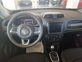 JEEP Renegade usata, con Cruise Control
