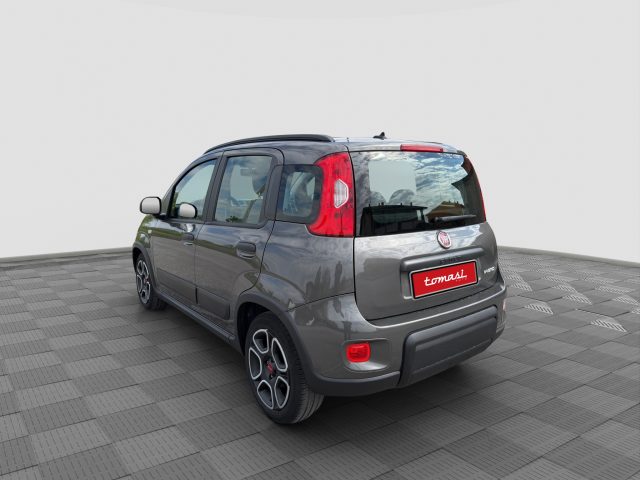 FIAT Panda usata 2