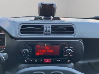 FIAT Panda usata 13