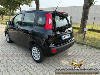 FIAT Panda usata, con Alzacristalli elettrici