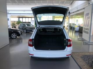 SKODA Octavia usata, con Climatizzatore