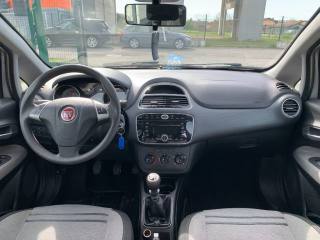FIAT Punto Evo usata, con Fendinebbia
