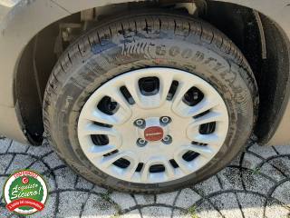 FIAT Panda usata, con Alzacristalli elettrici