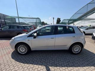 FIAT Punto usata, con Airbag