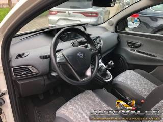 LANCIA Ypsilon usata, con Cronologia tagliandi