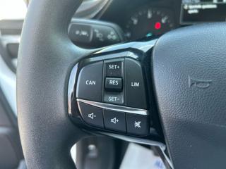 FORD Fiesta usata, con Filtro antiparticolato