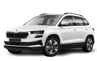 SKODA Kamiq usata, con ABS