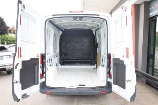 FORD Transit usata 42