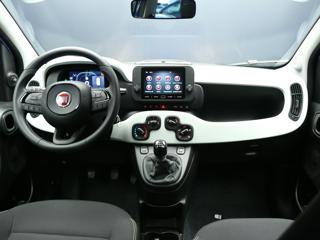 FIAT Panda Cross usata, con Fendinebbia
