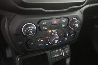 JEEP Renegade usata 11