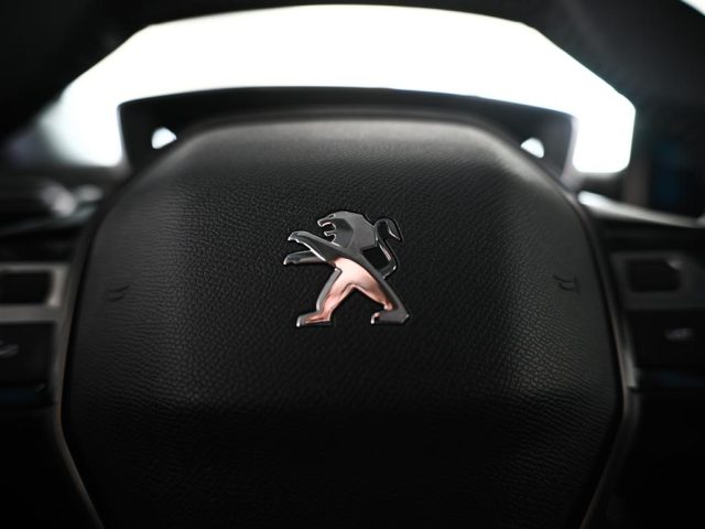 PEUGEOT 3008 usata, con Luci diurne LED